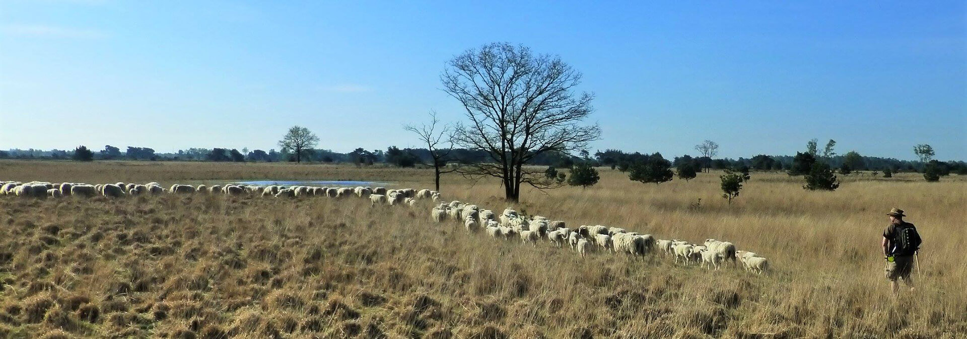 Natuurbegrazing, natuureducatie