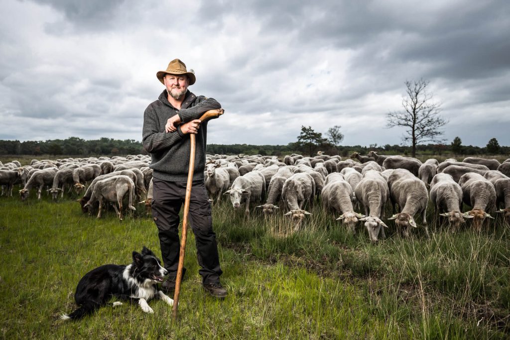 Herder Riaan schapenbegrazing natuurbeheer natuureducatie Strabrechtse heide
